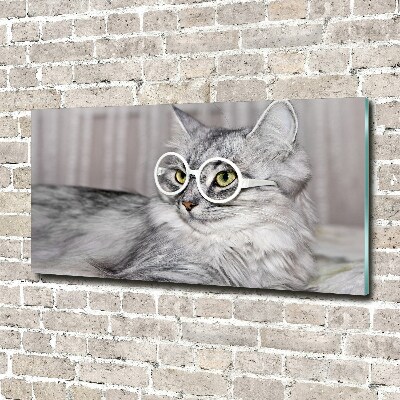 Glasbild Katze mit Brille