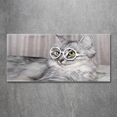 Glasbild Katze mit Brille