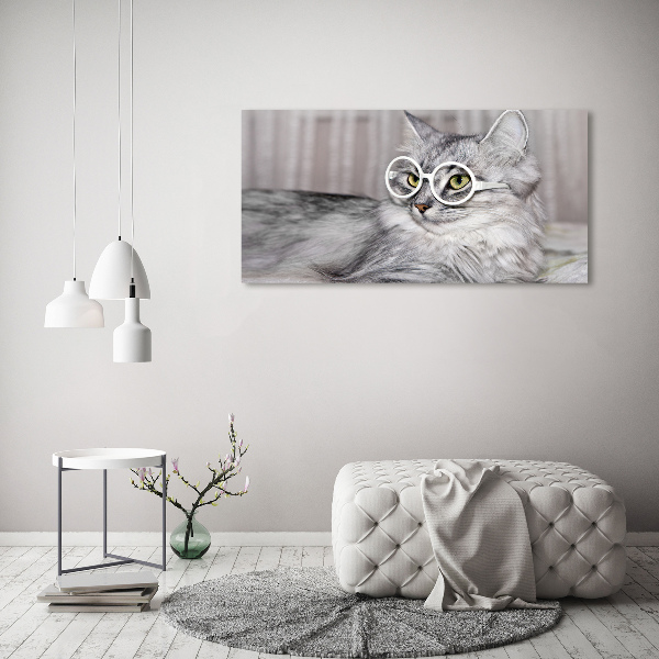 Glasbild Katze mit Brille