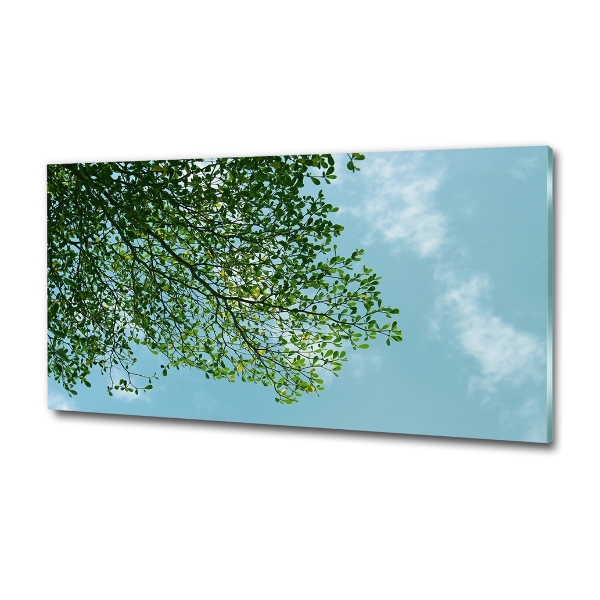 Glasbild Blätter am Himmel