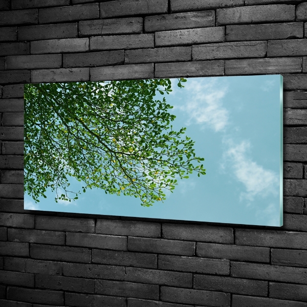 Glasbild Blätter am Himmel