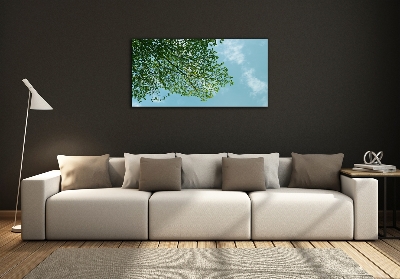 Glasbild Blätter am Himmel
