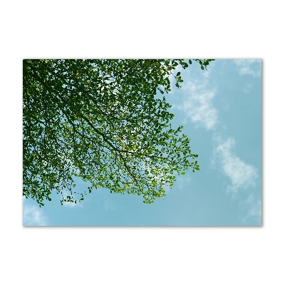Glasbild Blätter am Himmel