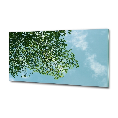 Glasbild Blätter am Himmel
