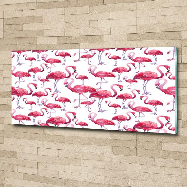 Bild auf glas Flamingos