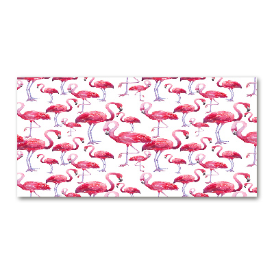 Bild auf glas Flamingos