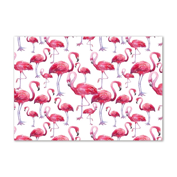 Bild auf glas Flamingos
