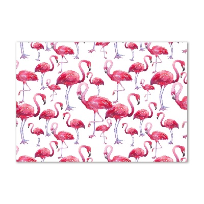 Bild auf glas Flamingos