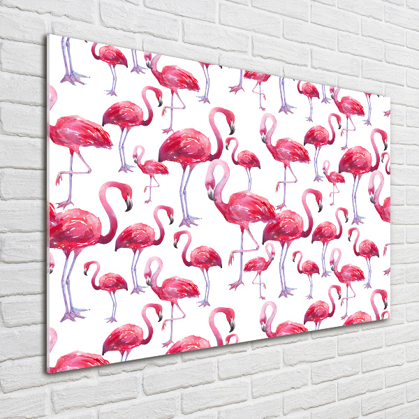 Bild auf glas Flamingos