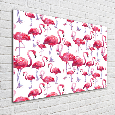 Bild auf glas Flamingos