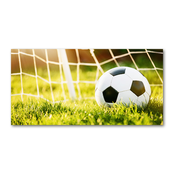 Foto glasbild Der Ball ist im Tor