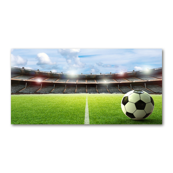 Bild auf glas Der Ball auf dem Spielfeld