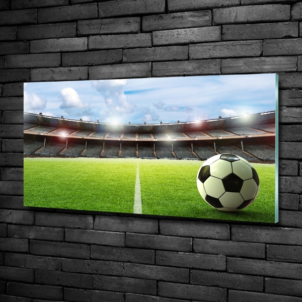 Bild auf glas Der Ball auf dem Spielfeld