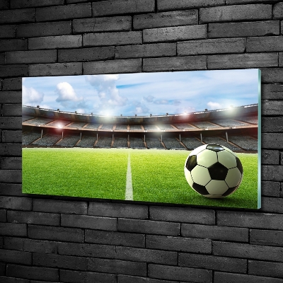 Bild auf glas Der Ball auf dem Spielfeld