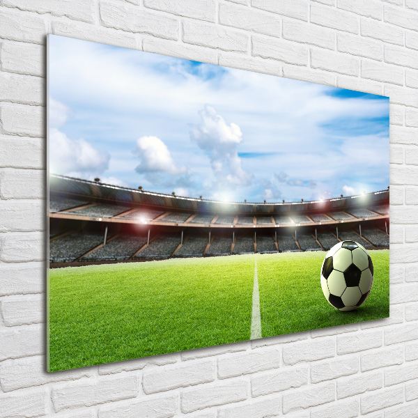 Bild auf glas Der Ball auf dem Spielfeld