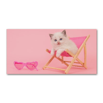 Bild auf glas Katze auf einem Liegestuhl