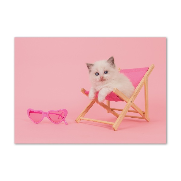 Bild auf glas Katze auf einem Liegestuhl