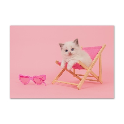 Bild auf glas Katze auf einem Liegestuhl