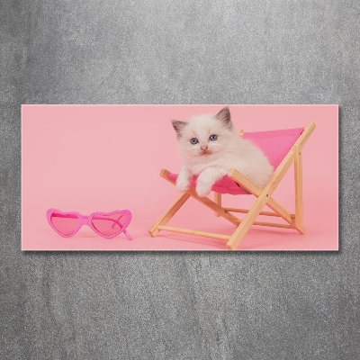 Bild auf glas Katze auf einem Liegestuhl