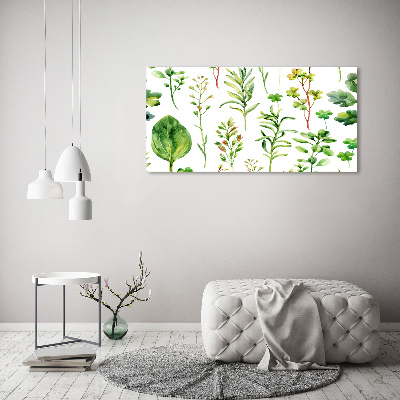 Foto glasbild Kräuter und Unkräuter