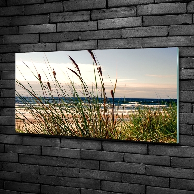 Foto glasbild Küstendünen