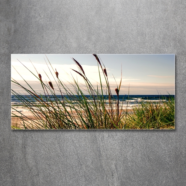 Foto glasbild Küstendünen