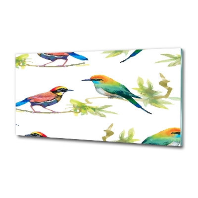 Bild auf glas Exotische Vögel