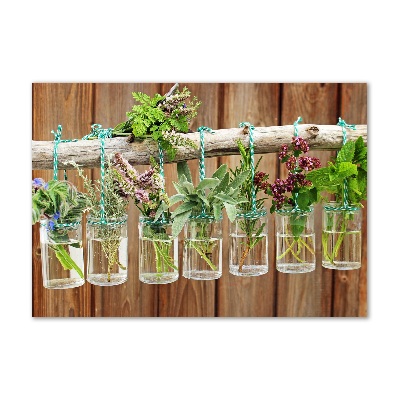 Bild auf glas Kräuter im Glas