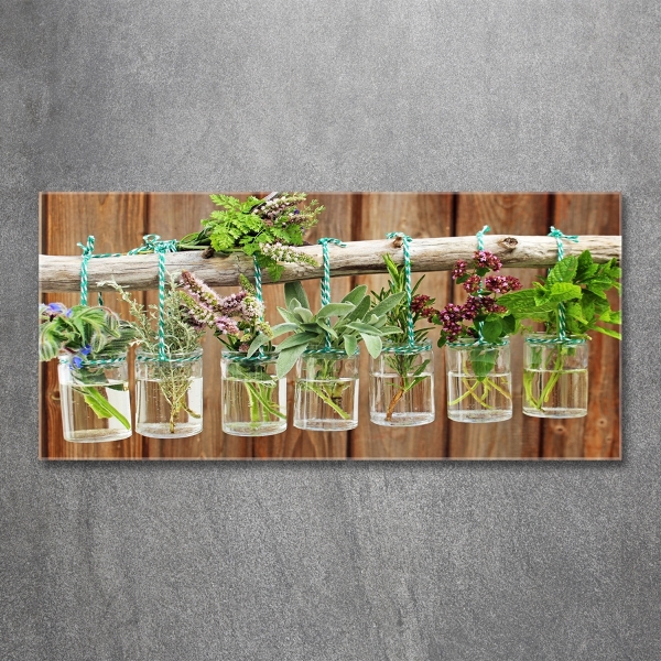 Bild auf glas Kräuter im Glas