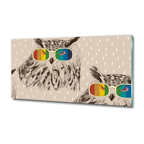 Glasbild Eulen mit Brille