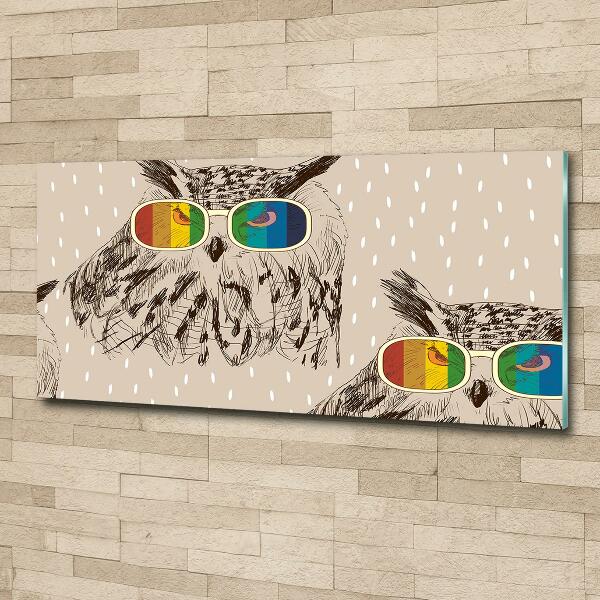 Glasbild Eulen mit Brille
