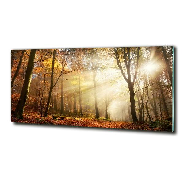 Glasbild Nebel im Wald