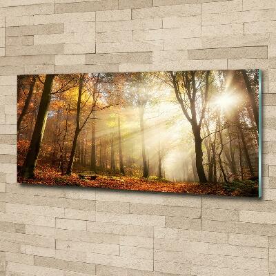 Glasbild Nebel im Wald