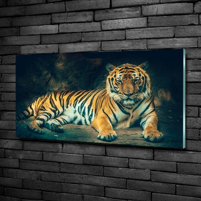 Foto glasbild Tiger in der Höhle