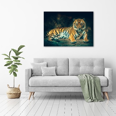 Foto glasbild Tiger in der Höhle