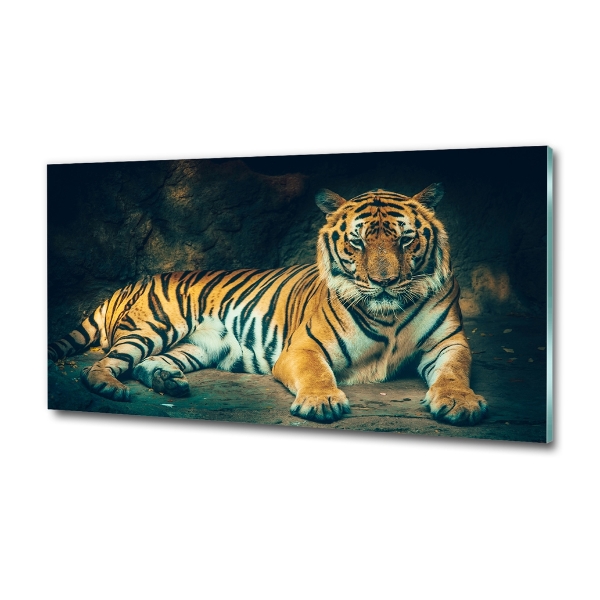 Foto glasbild Tiger in der Höhle