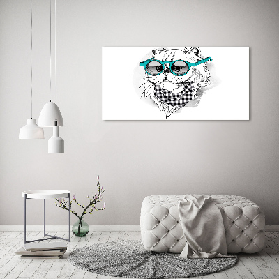 Glasbild Katze mit Brille