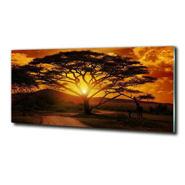 Bild auf glas Westafrika