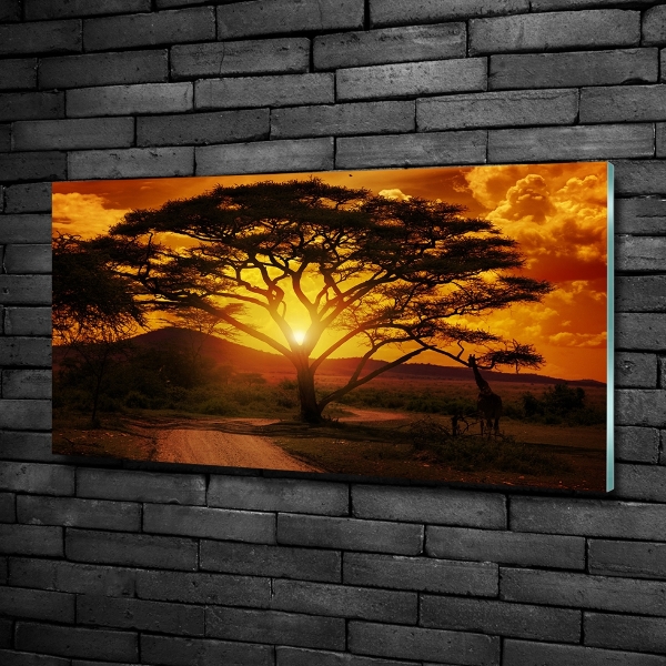 Bild auf glas Westafrika
