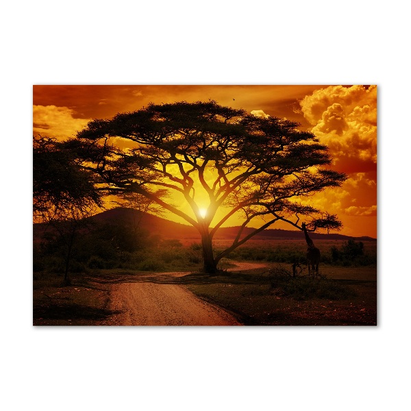 Bild auf glas Westafrika