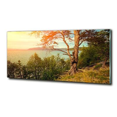 Glasbild Skandinavischer See