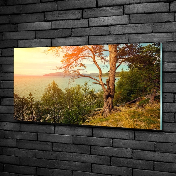 Glasbild Skandinavischer See