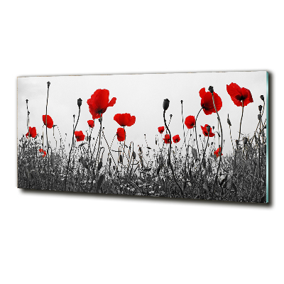 Foto glasbild Mohnblumen