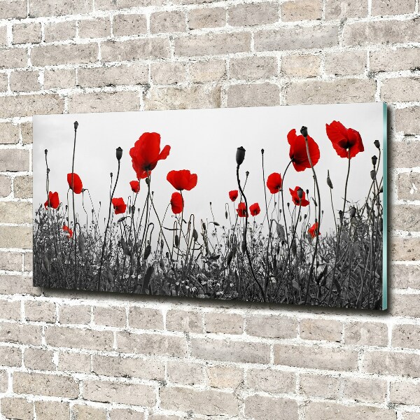 Foto glasbild Mohnblumen