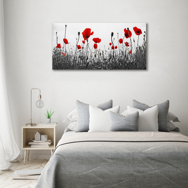 Foto glasbild Mohnblumen