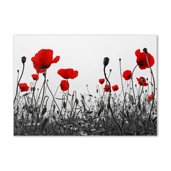 Foto glasbild Mohnblumen