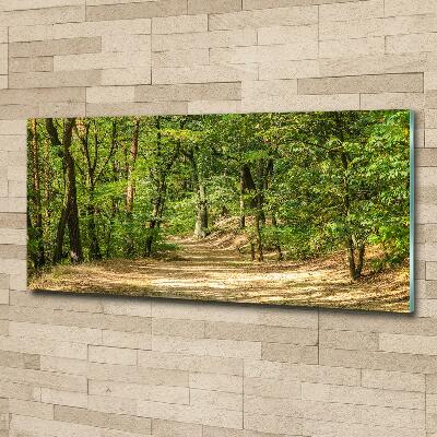 Glasbild Waldweg