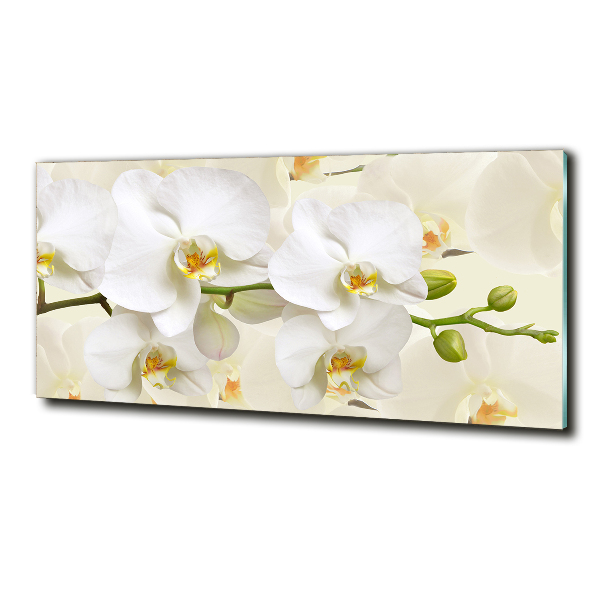 Foto glasbild Orchidee