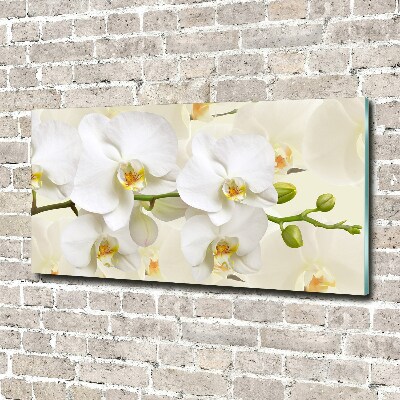 Foto glasbild Orchidee