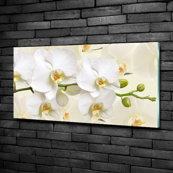 Foto glasbild Orchidee
